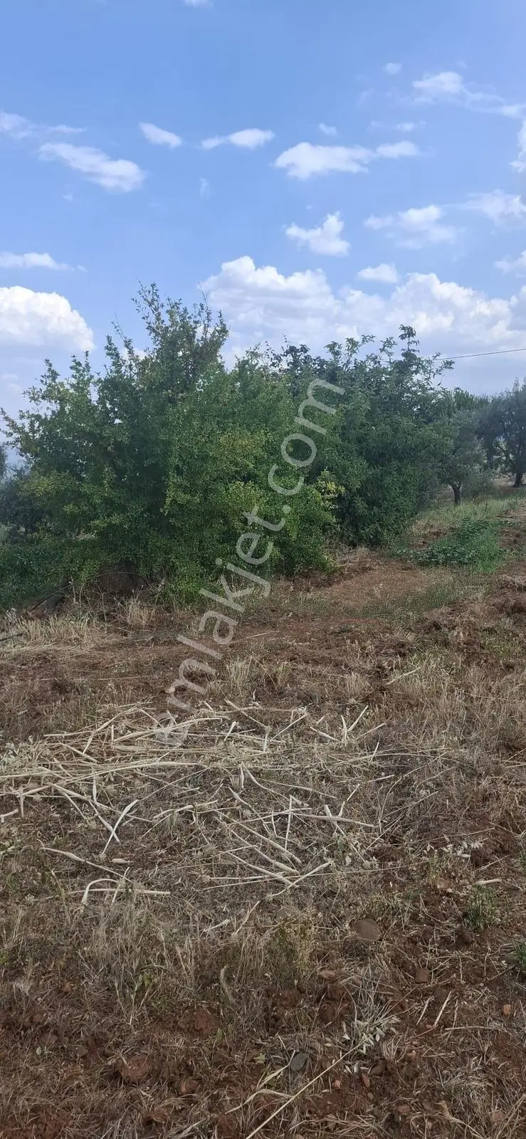 Startkey Muga'dan Karacasu Merkez Ve Üniversite Yakını Tarla — fotoğraf 10