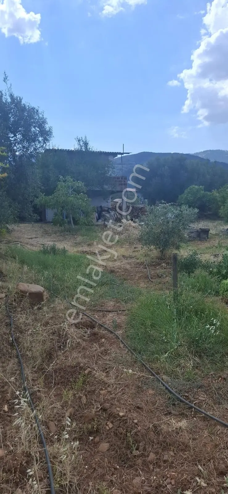Startkey Muga'dan Karacasu Merkez Ve Üniversite Yakını Tarla — fotoğraf 11