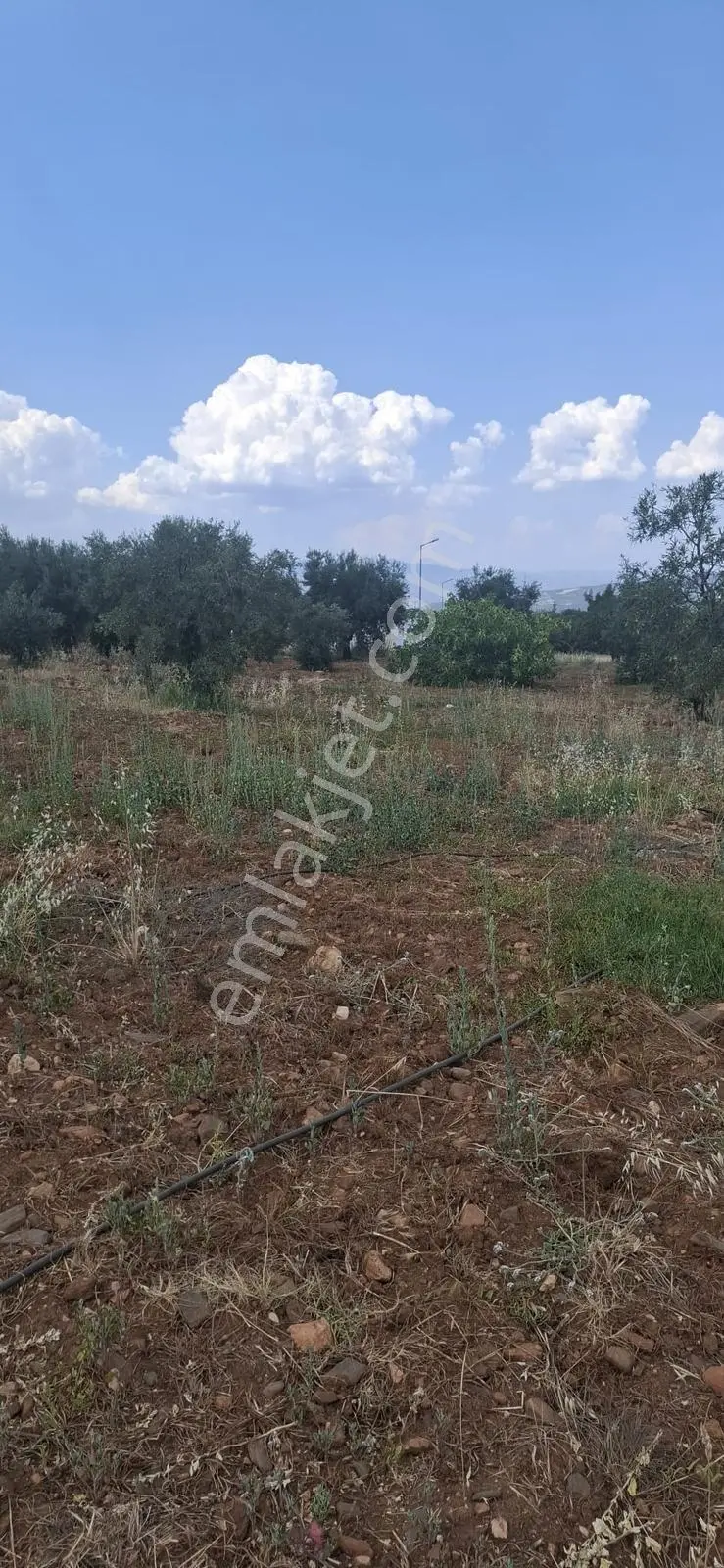 Startkey Muga'dan Karacasu Merkez Ve Üniversite Yakını Tarla — fotoğraf 12