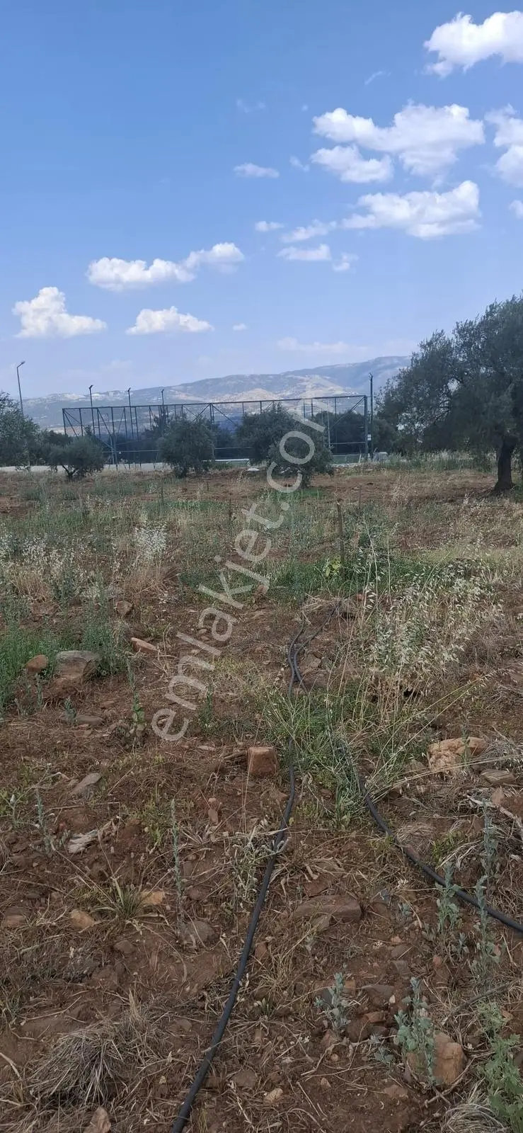 Startkey Muga'dan Karacasu Merkez Ve Üniversite Yakını Tarla — fotoğraf 13