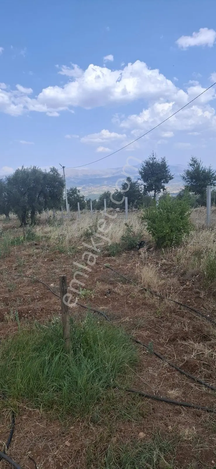 Startkey Muga'dan Karacasu Merkez Ve Üniversite Yakını Tarla — fotoğraf 17