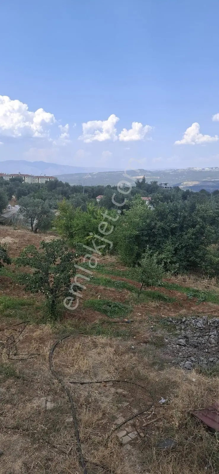 Startkey Muga'dan Karacasu Merkez Ve Üniversite Yakını Tarla — fotoğraf 18