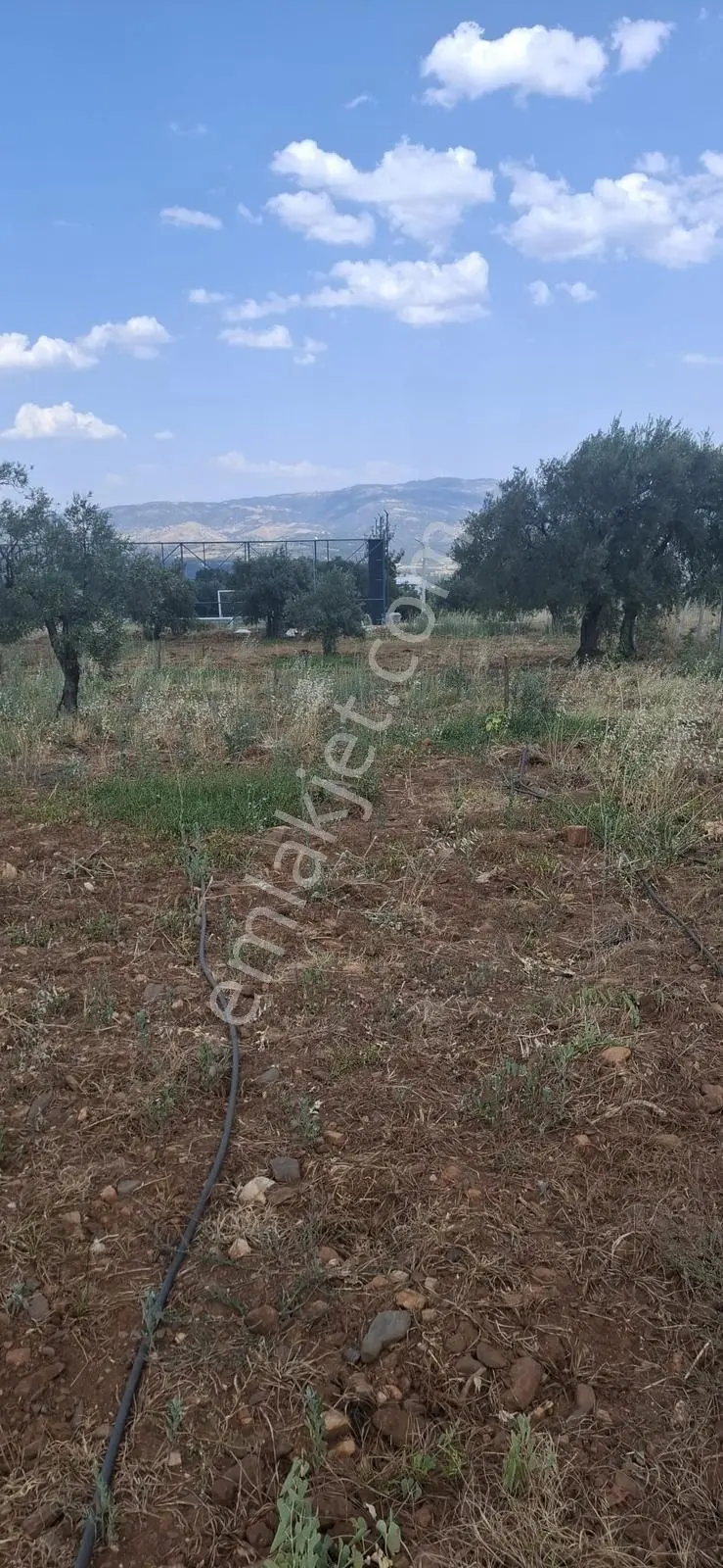 Startkey Muga'dan Karacasu Merkez Ve Üniversite Yakını Tarla — fotoğraf 19