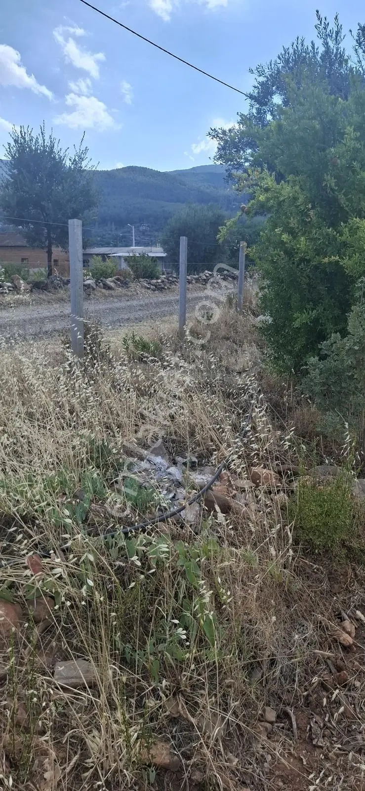 Startkey Muga'dan Karacasu Merkez Ve Üniversite Yakını Tarla — fotoğraf 21