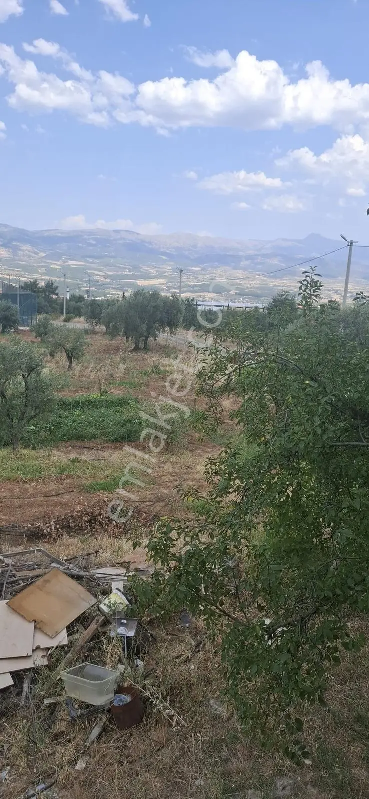 Startkey Muga'dan Karacasu Merkez Ve Üniversite Yakını Tarla — fotoğraf 24