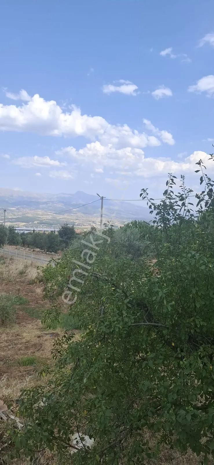 Startkey Muga'dan Karacasu Merkez Ve Üniversite Yakını Tarla — fotoğraf 25