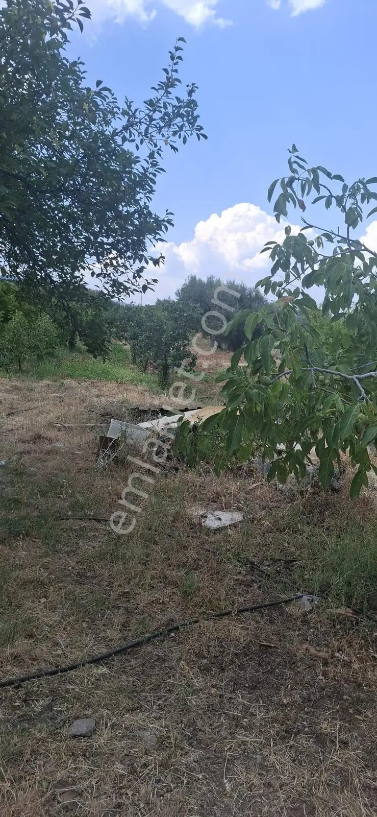 Startkey Muga'dan Karacasu Merkez Ve Üniversite Yakını Tarla — fotoğraf 26