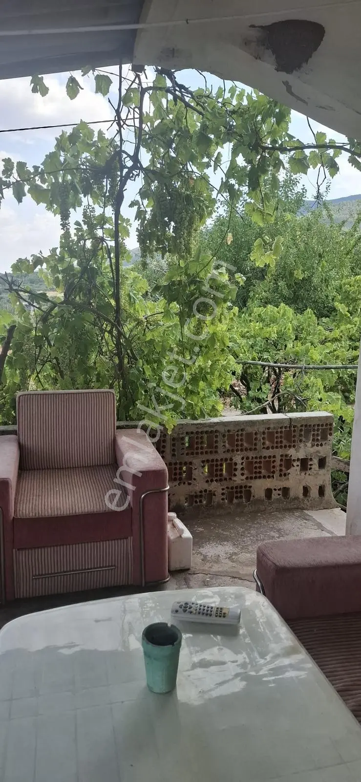 Startkey Muga'dan Karacasu Merkez Ve Üniversite Yakını Tarla — fotoğraf 28
