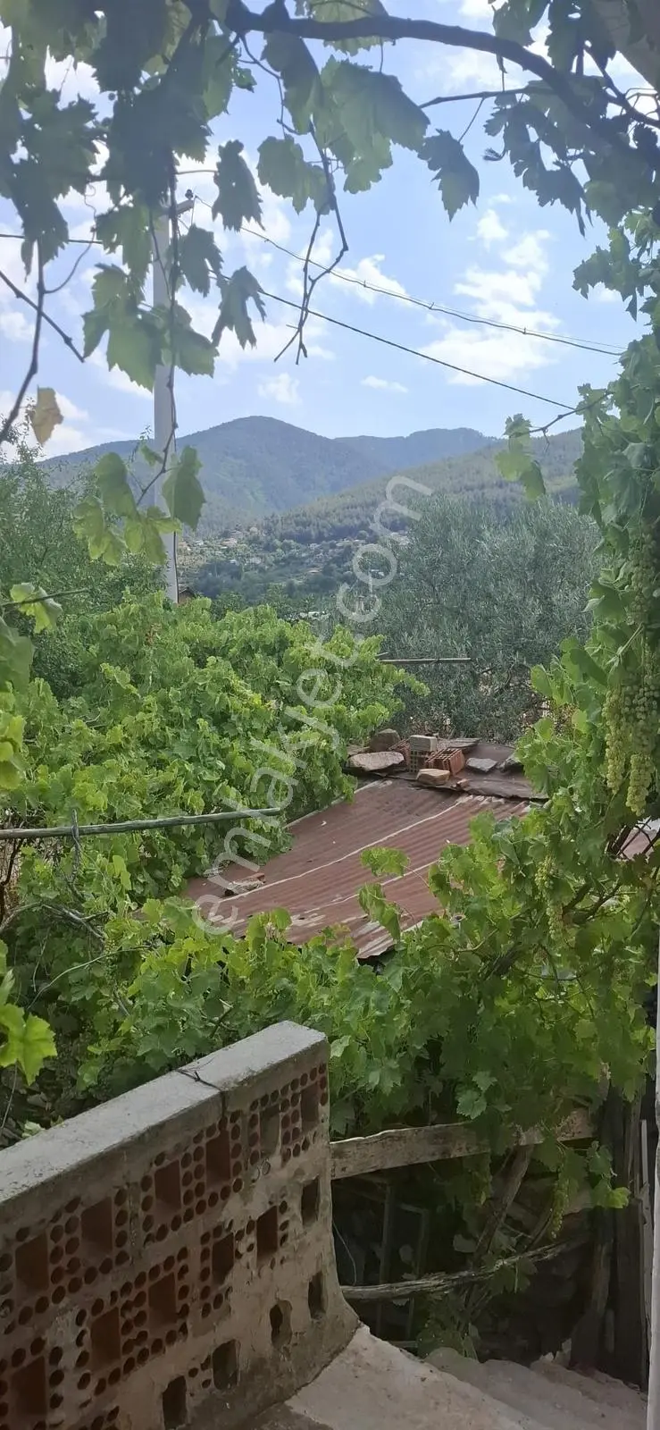 Startkey Muga'dan Karacasu Merkez Ve Üniversite Yakını Tarla — fotoğraf 30