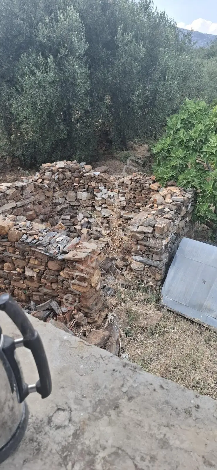 Startkey Muga'dan Karacasu Merkez Ve Üniversite Yakını Tarla — fotoğraf 31