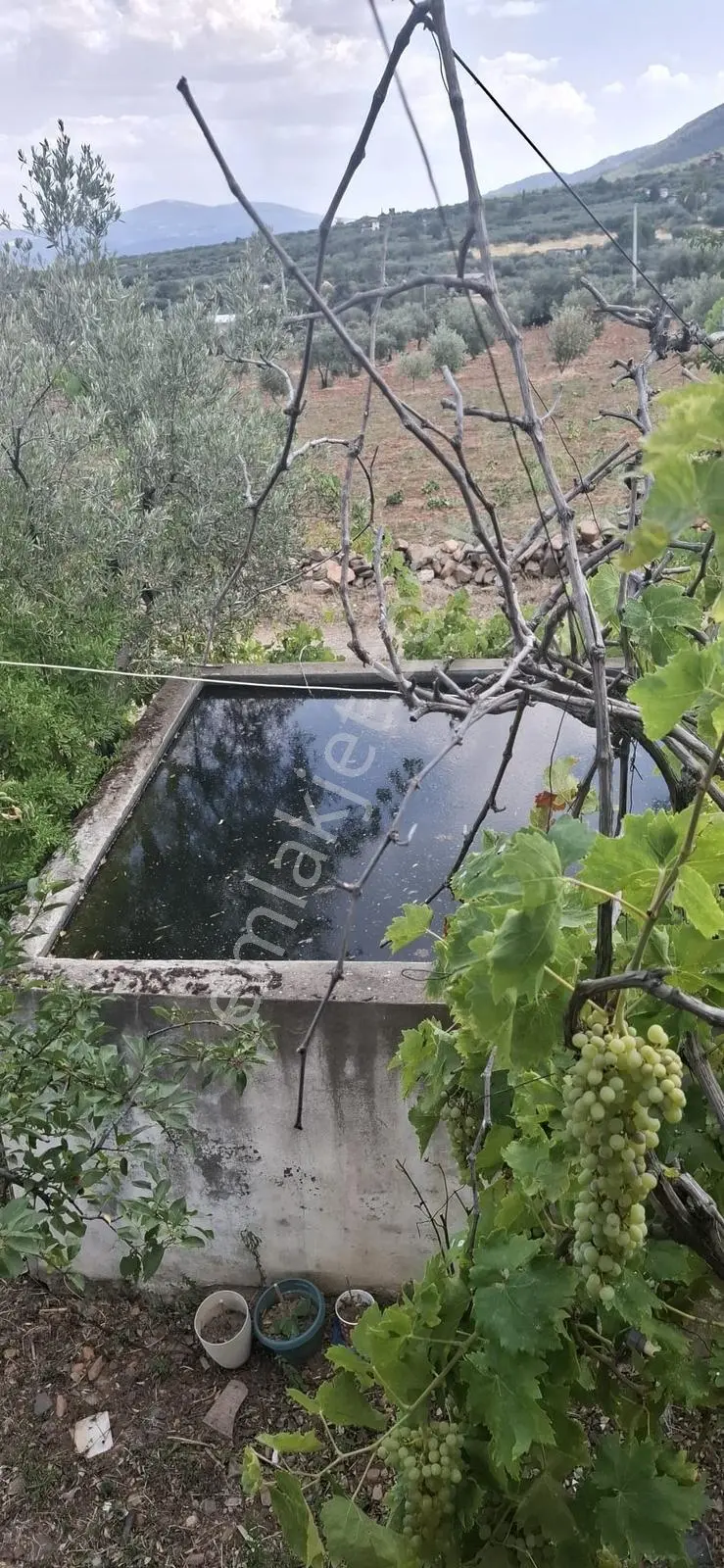 Startkey Muga'dan Karacasu Merkez Ve Üniversite Yakını Tarla — fotoğraf 32