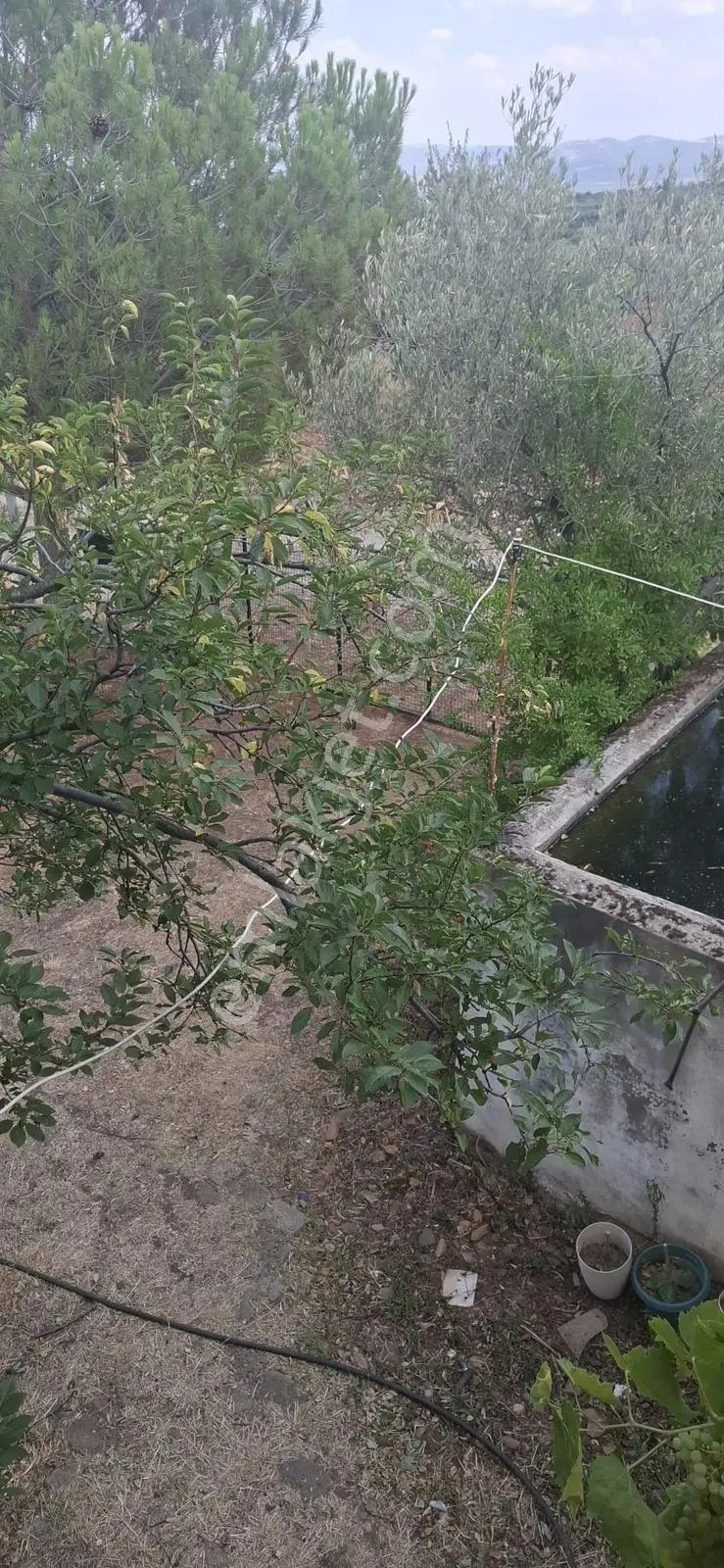 Startkey Muga'dan Karacasu Merkez Ve Üniversite Yakını Tarla — fotoğraf 33