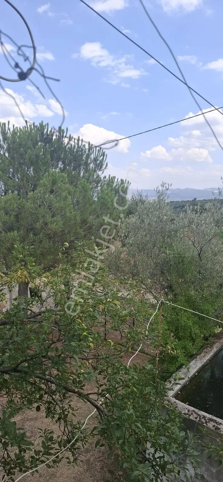 Startkey Muga'dan Karacasu Merkez Ve Üniversite Yakını Tarla — fotoğraf 34
