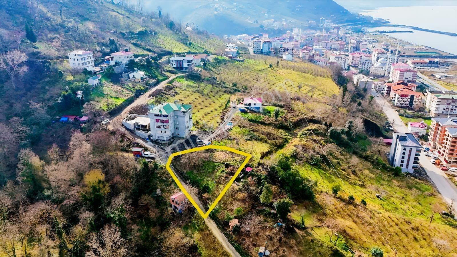 Çarşıbaşı Deniz Manzaralı Fırsat Arsa — fotoğraf 5