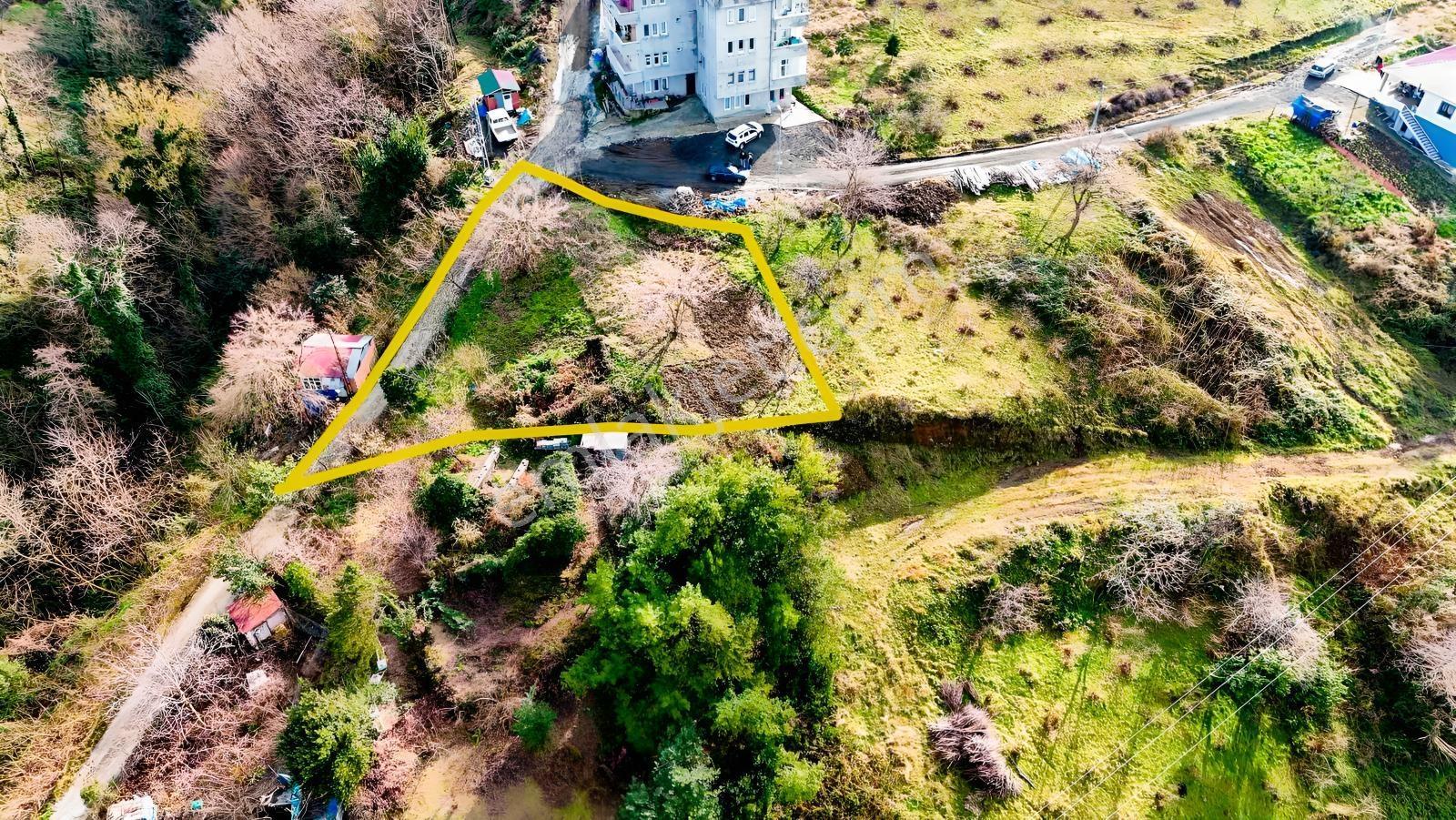 Çarşıbaşı Deniz Manzaralı Fırsat Arsa — fotoğraf 9