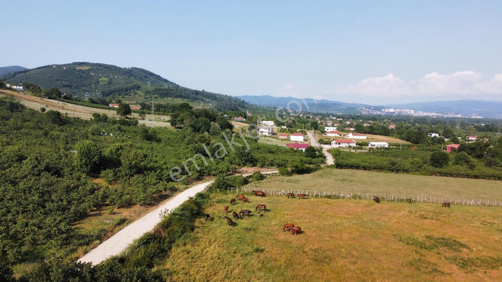 Aslımemlak'tan Çilimli Sarımeşe De Satılık 2444 Metrekare — fotoğraf 2