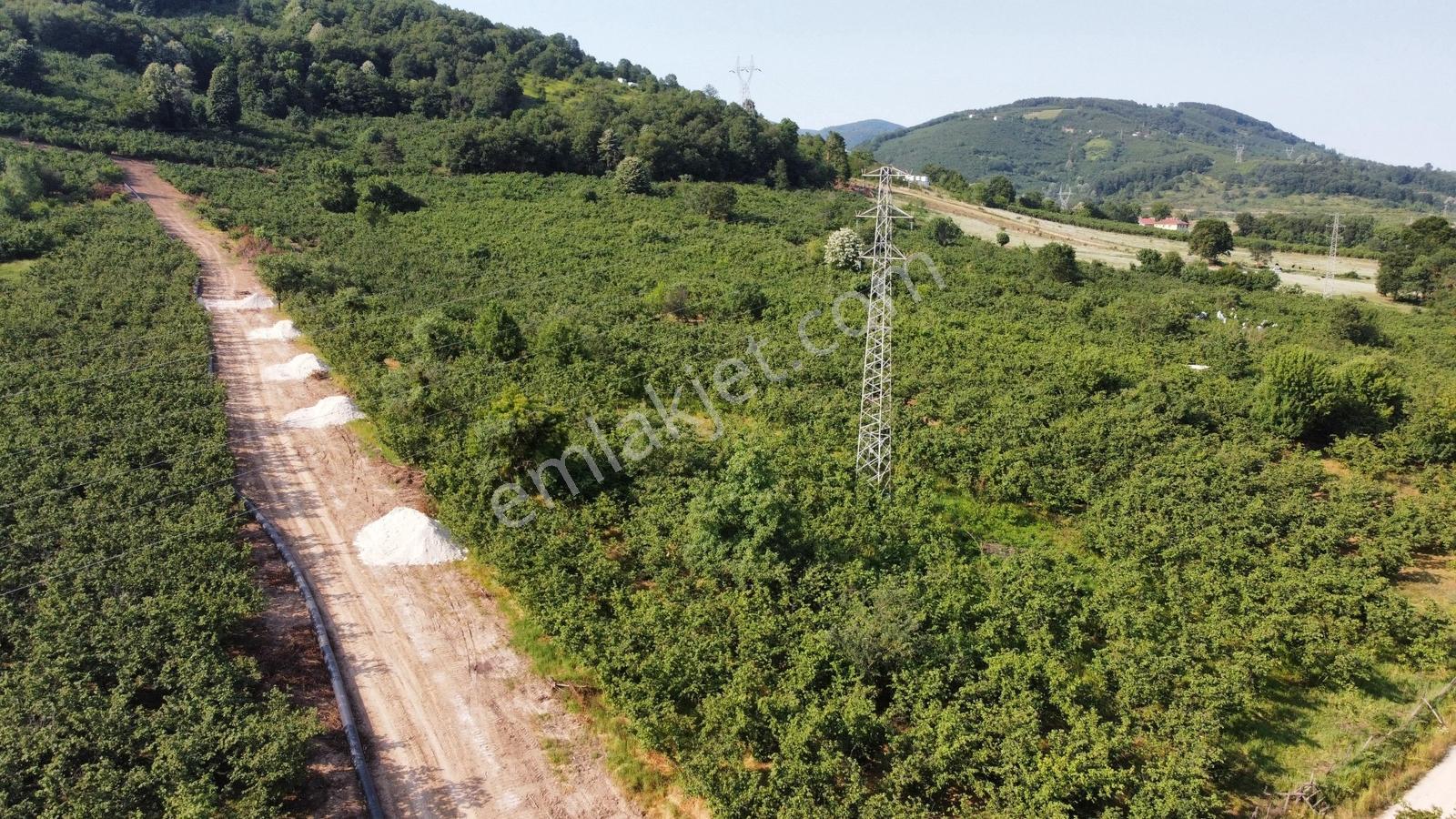 Aslımemlak'tan Çilimli Sarımeşe De Satılık 2444 Metrekare — fotoğraf 8