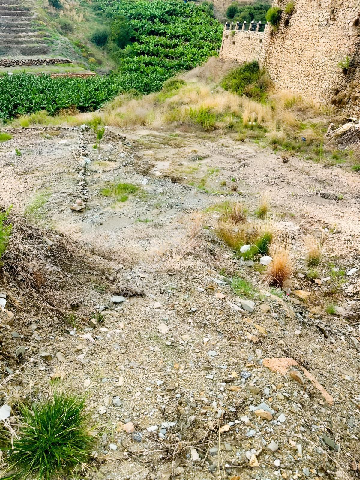 Alanya Kargıcakta Satılık 1.452 M² Arsa | Yatırım Fırsatı — fotoğraf 6