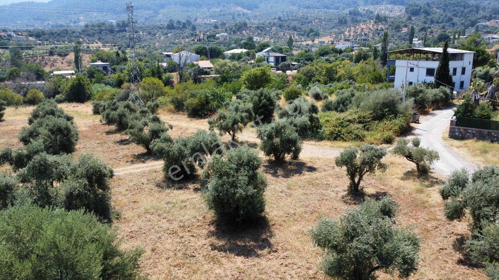 Startkey Muga'dan Yukarıkızılca Merkez Yakını Yola Cepheli Arazi — fotoğraf 3