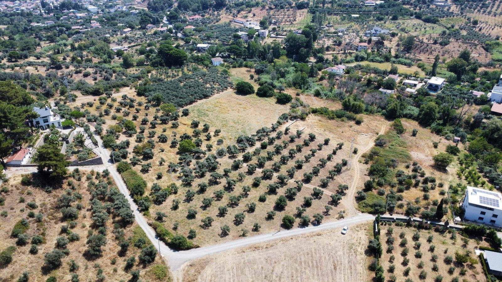Startkey Muga'dan Yukarıkızılca Merkez Yakını Yola Cepheli Arazi — fotoğraf 4