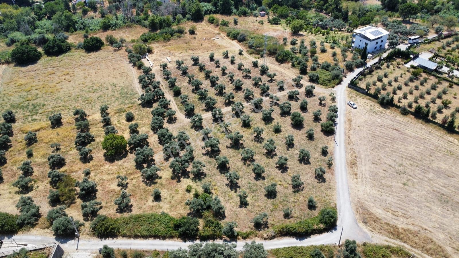 Startkey Muga'dan Yukarıkızılca Merkez Yakını Yola Cepheli Arazi — fotoğraf 6