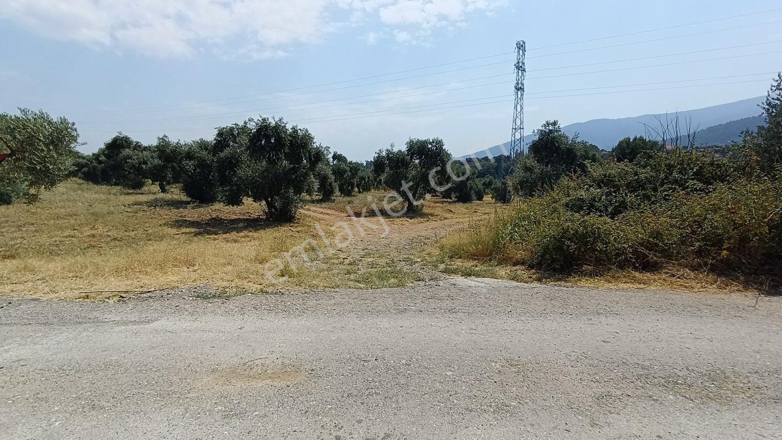 Startkey Muga'dan Yukarıkızılca Merkez Yakını Yola Cepheli Arazi — fotoğraf 8