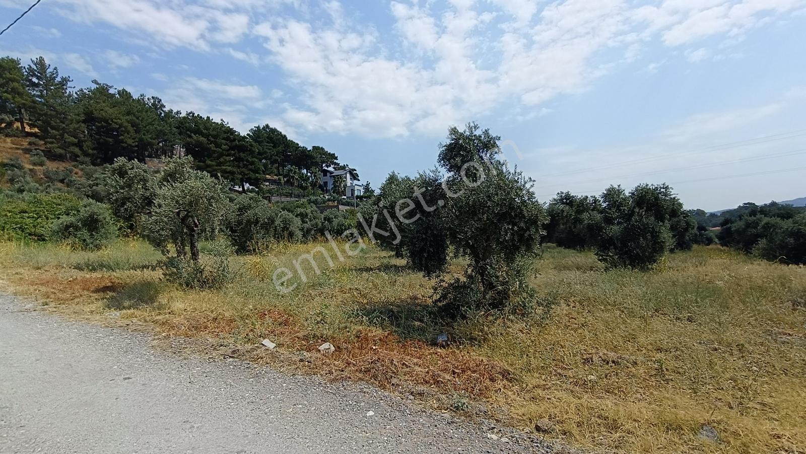 Startkey Muga'dan Yukarıkızılca Merkez Yakını Yola Cepheli Arazi — fotoğraf 11