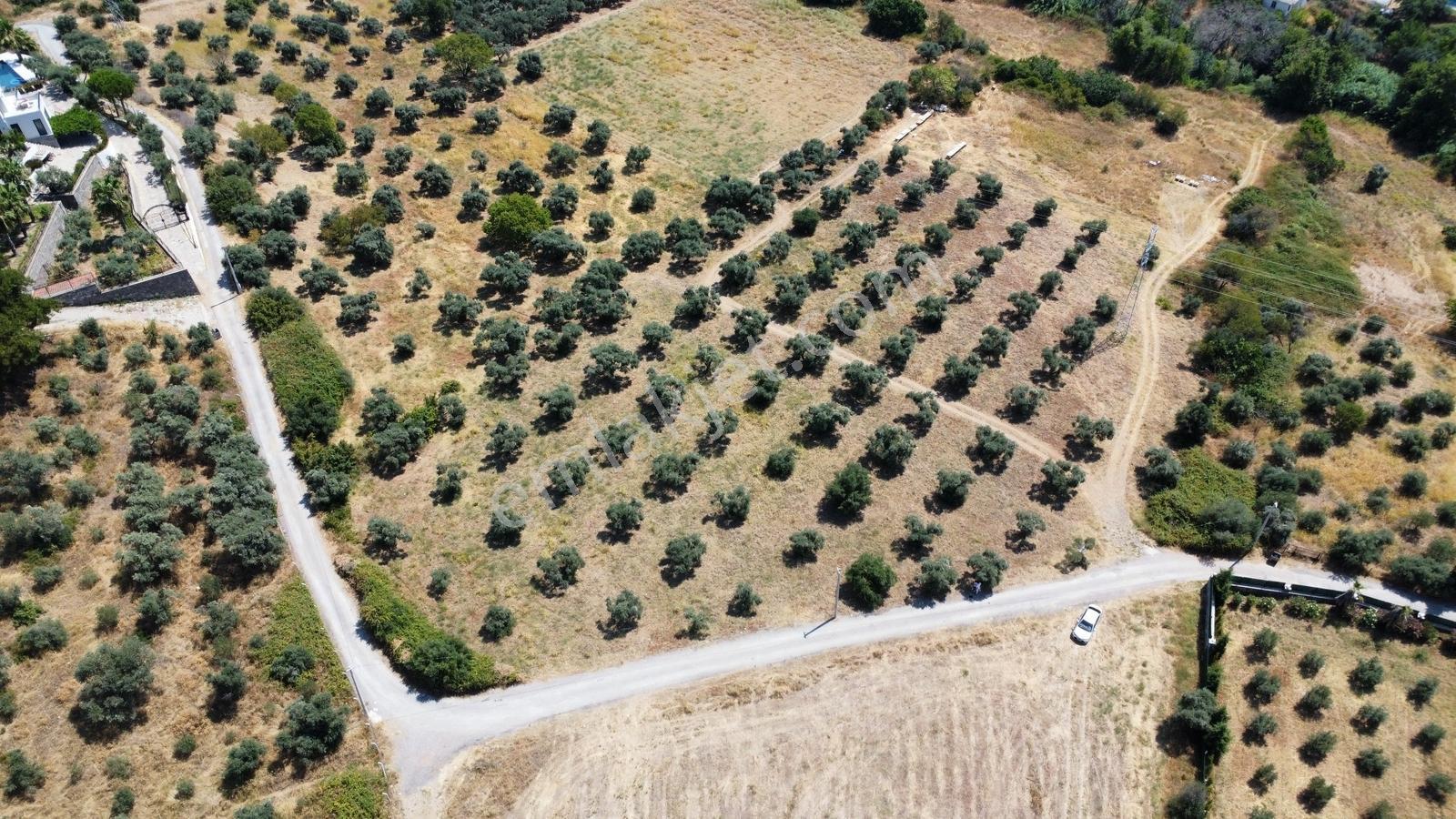 Startkey Muga'dan Yukarıkızılca Merkez Yakını Yola Cepheli Arazi — fotoğraf 14