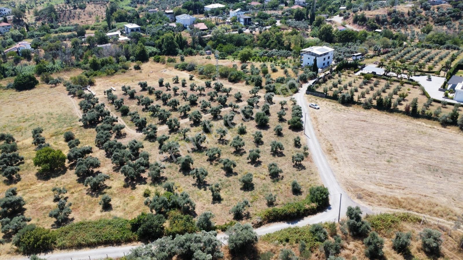 Startkey Muga'dan Yukarıkızılca Merkez Yakını Yola Cepheli Arazi — fotoğraf 15