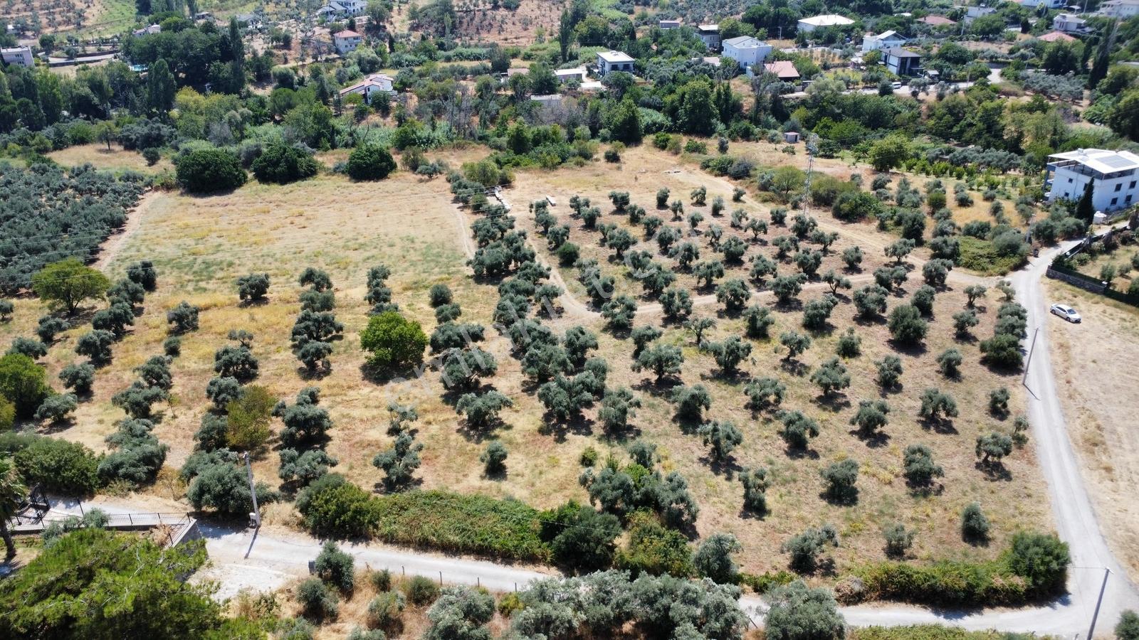 Startkey Muga'dan Yukarıkızılca Merkez Yakını Yola Cepheli Arazi — fotoğraf 20