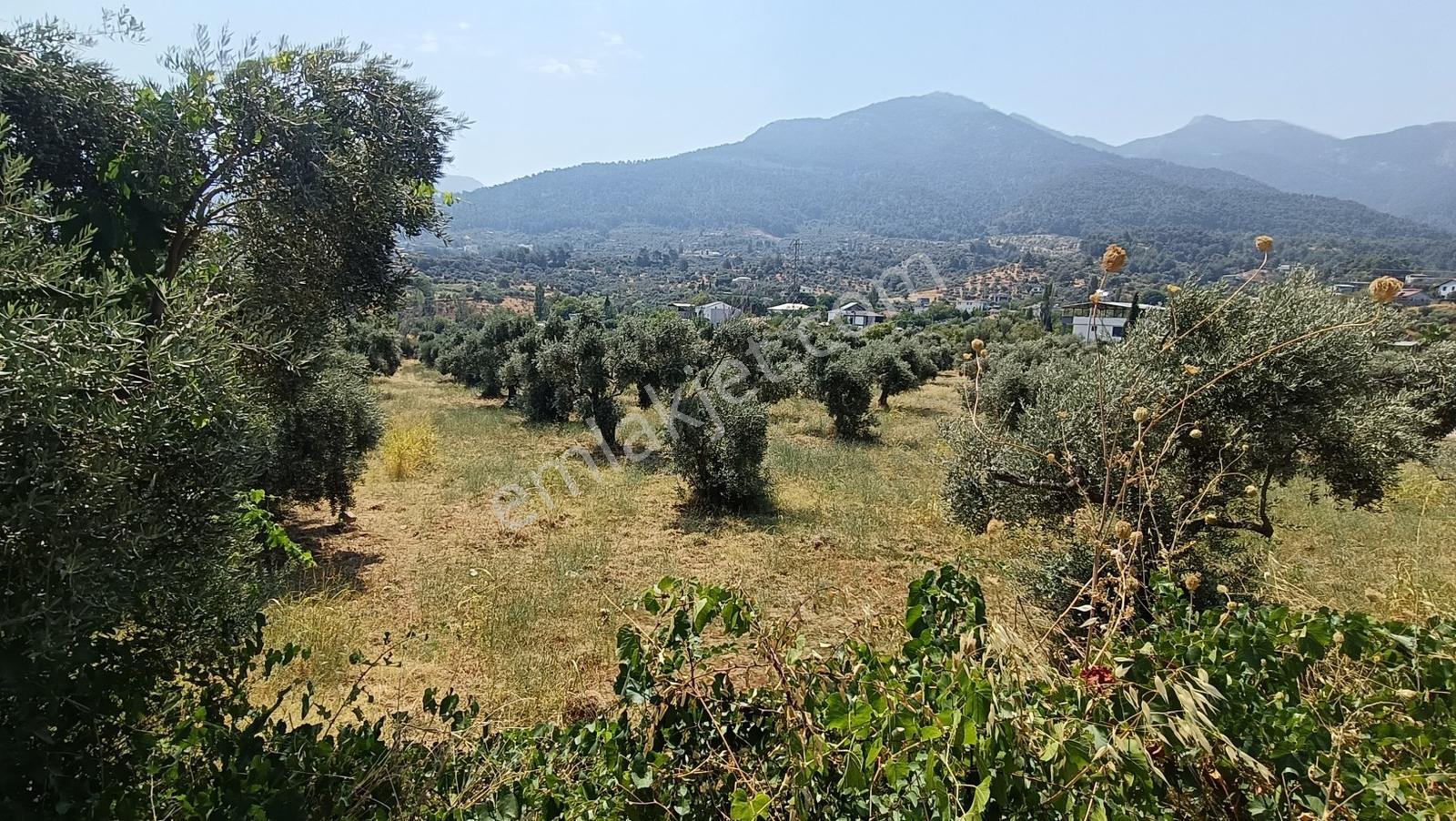 Startkey Muga'dan Yukarıkızılca Merkez Yakını Yola Cepheli Arazi — fotoğraf 22