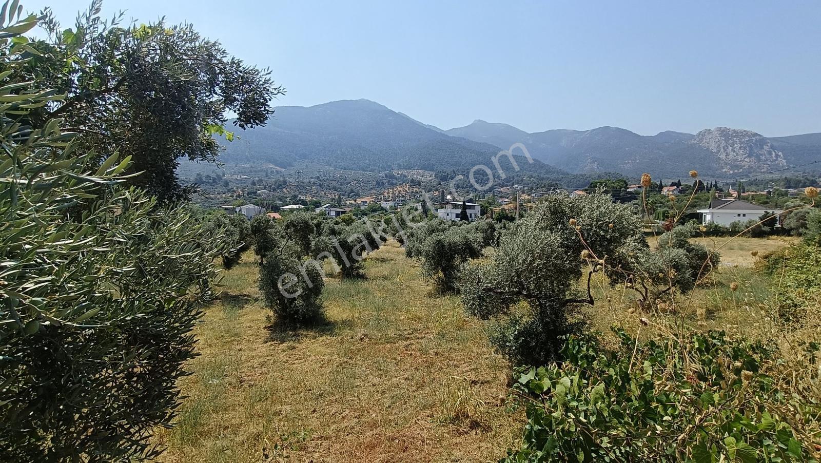 Startkey Muga'dan Yukarıkızılca Merkez Yakını Yola Cepheli Arazi — fotoğraf 24