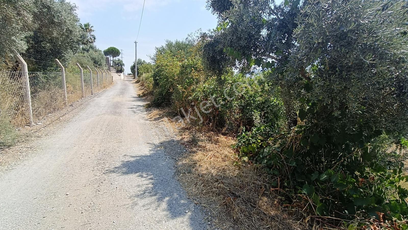 Startkey Muga'dan Yukarıkızılca Merkez Yakını Yola Cepheli Arazi — fotoğraf 25