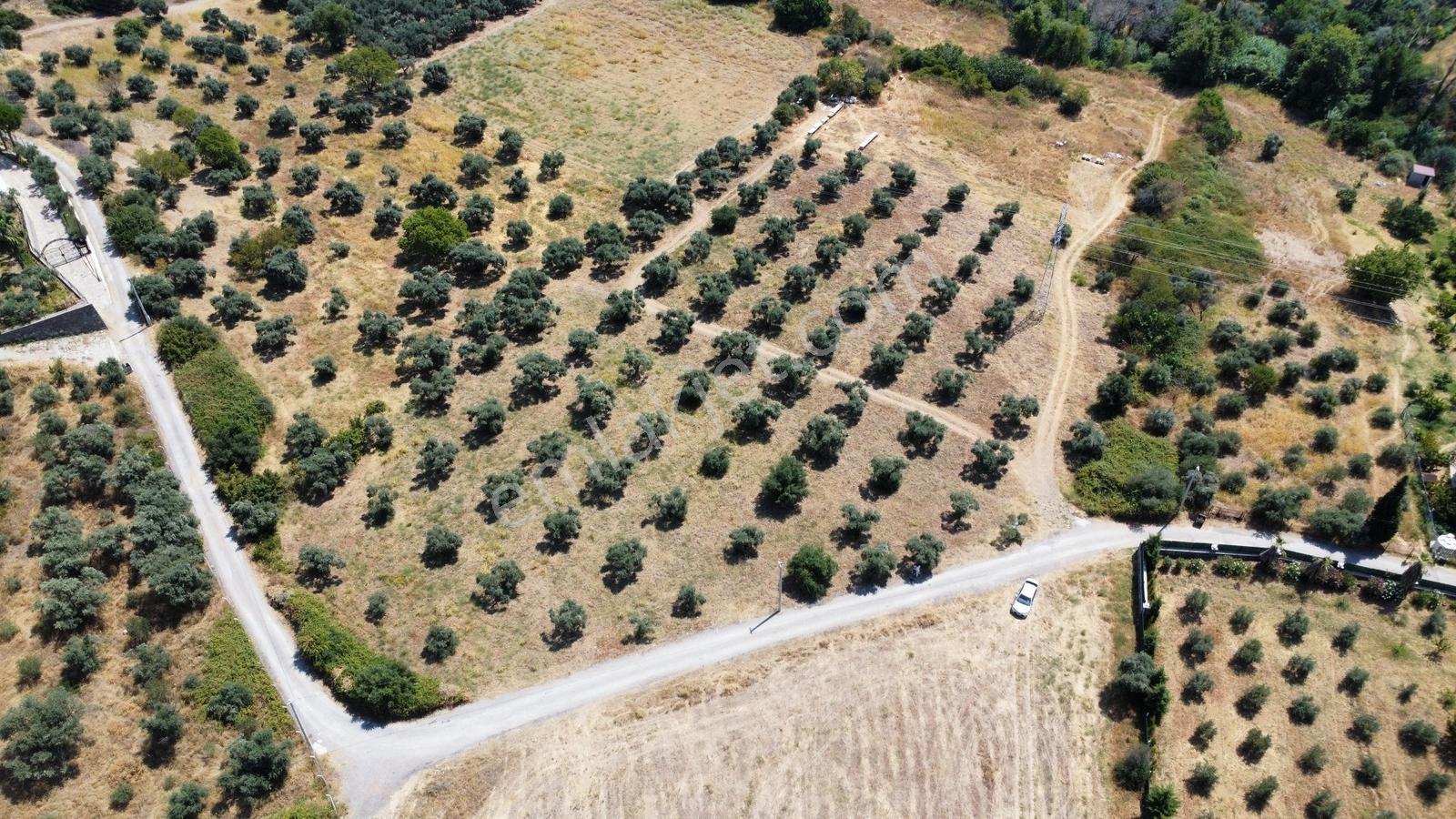 Startkey Muga'dan Yukarıkızılca Merkez Yakını Yola Cepheli Arazi — fotoğraf 30