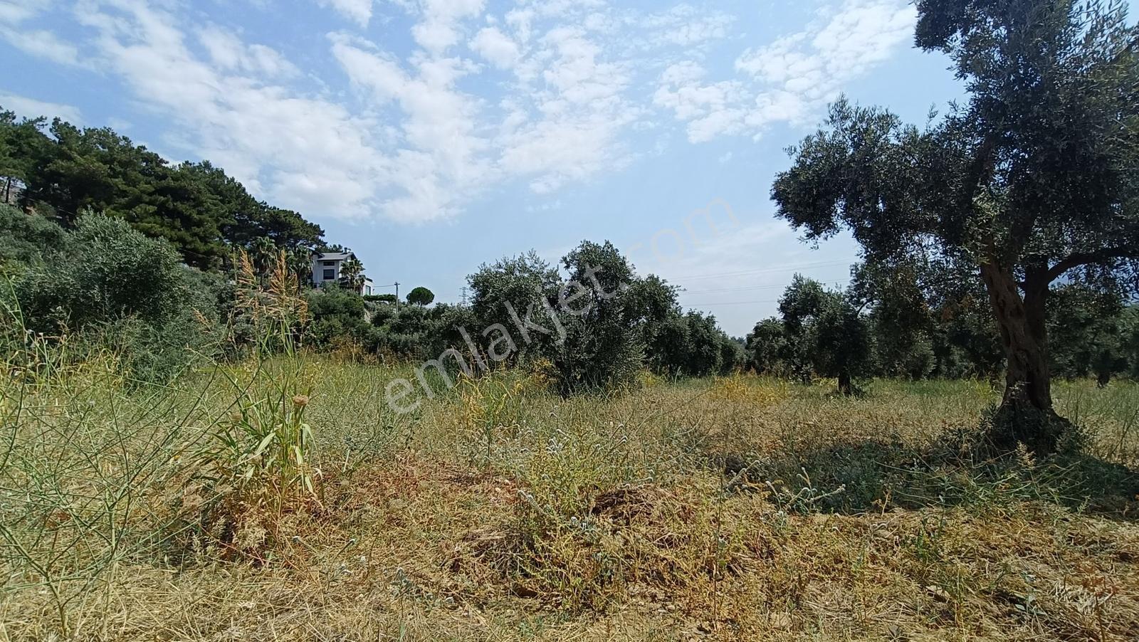 Startkey Muga'dan Yukarıkızılca Merkez Yakını Yola Cepheli Arazi — fotoğraf 31