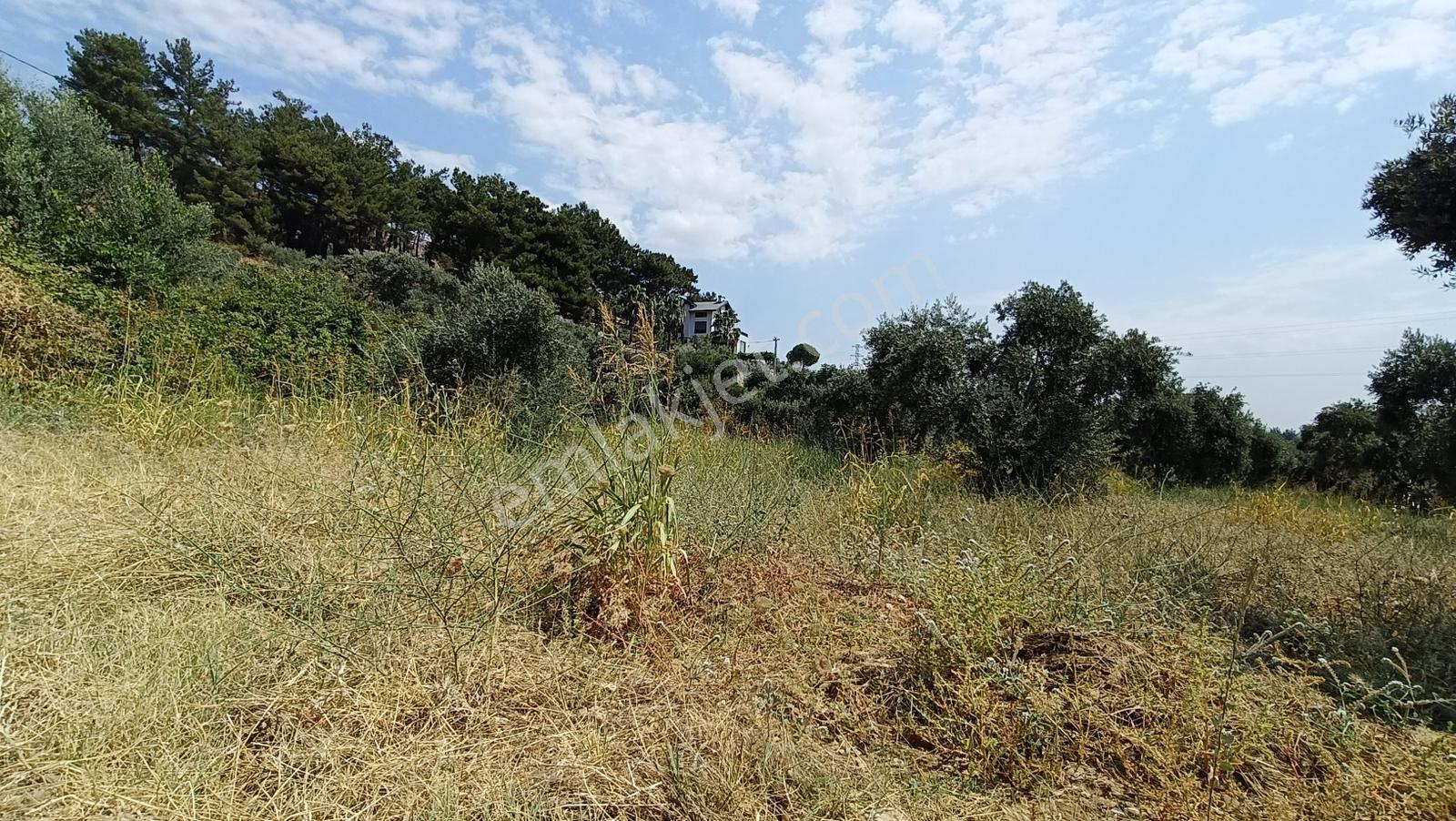 Startkey Muga'dan Yukarıkızılca Merkez Yakını Yola Cepheli Arazi — fotoğraf 32
