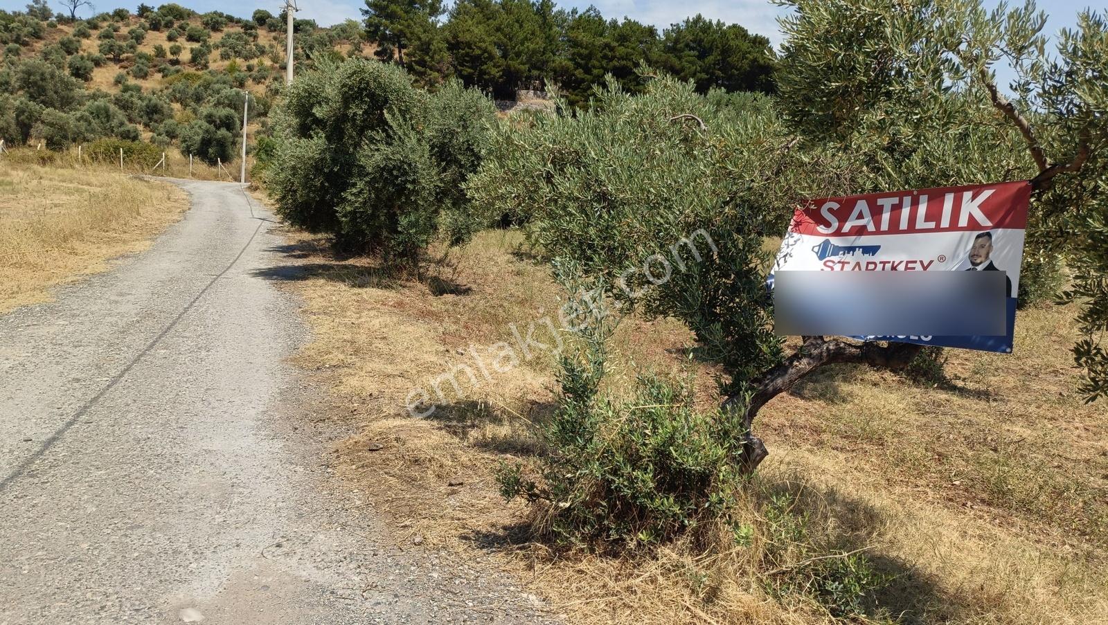 Startkey Muga'dan Yukarıkızılca Merkez Yakını Yola Cepheli Arazi — fotoğraf 34
