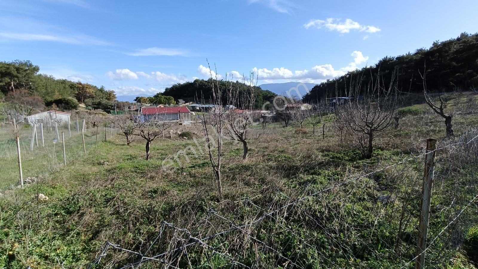 Startkey Muga'dan Bornova Yakaköyde Rızai Taksimli Hisseli Arsa — fotoğraf 3