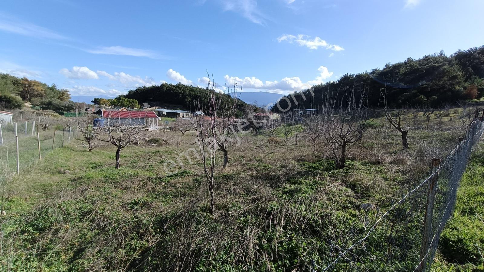 Startkey Muga'dan Bornova Yakaköyde Rızai Taksimli Hisseli Arsa — fotoğraf 4