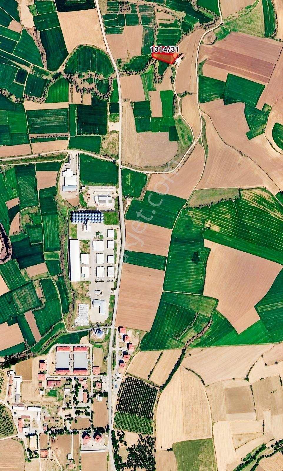 Edirne Merkez/Umurbey Mahallesinde Satılık 2451,02M² Arazi