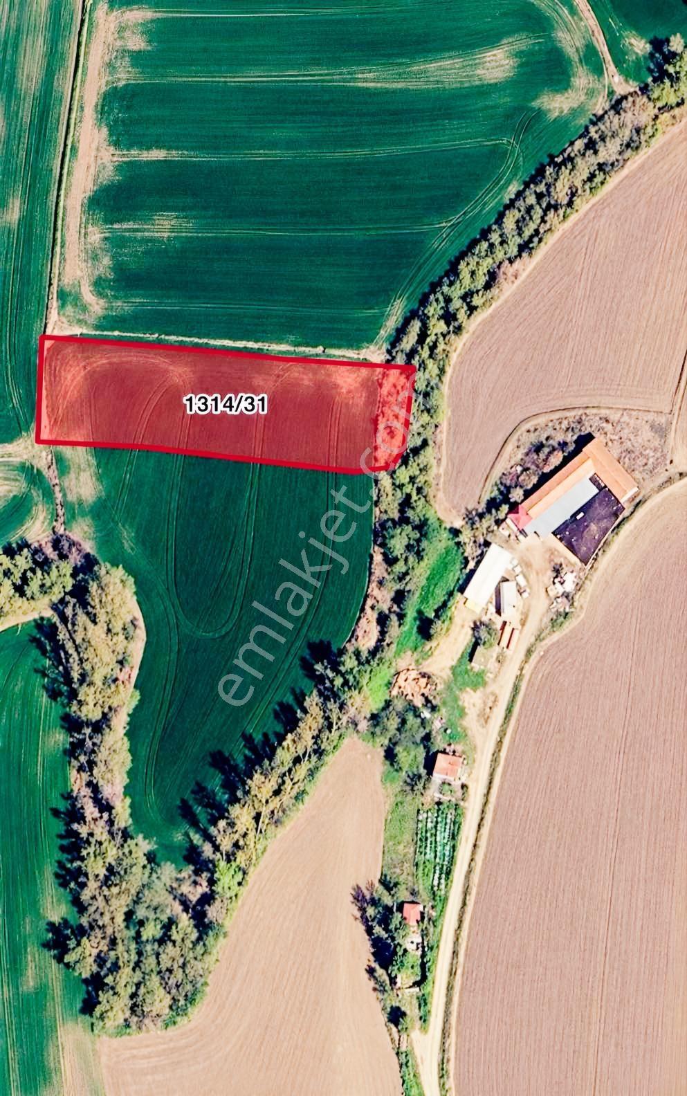 Edirne Merkez/umurbey Mahallesinde Satılık 2451,02m² Arazi — fotoğraf 2