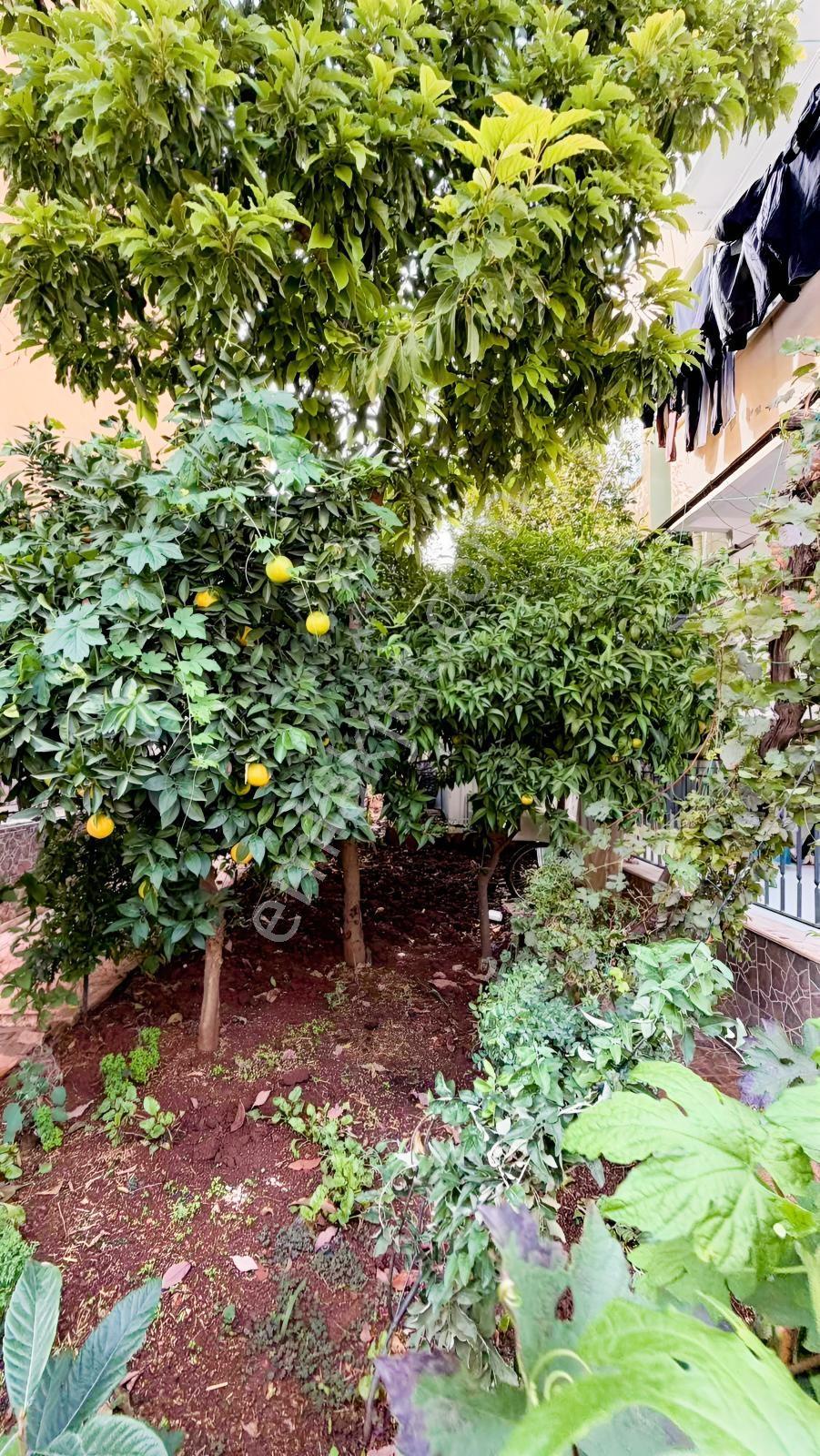 Varsak Altıayakta Havuzlu Sitede 5+1 Tripleks Villa! — fotoğraf 35