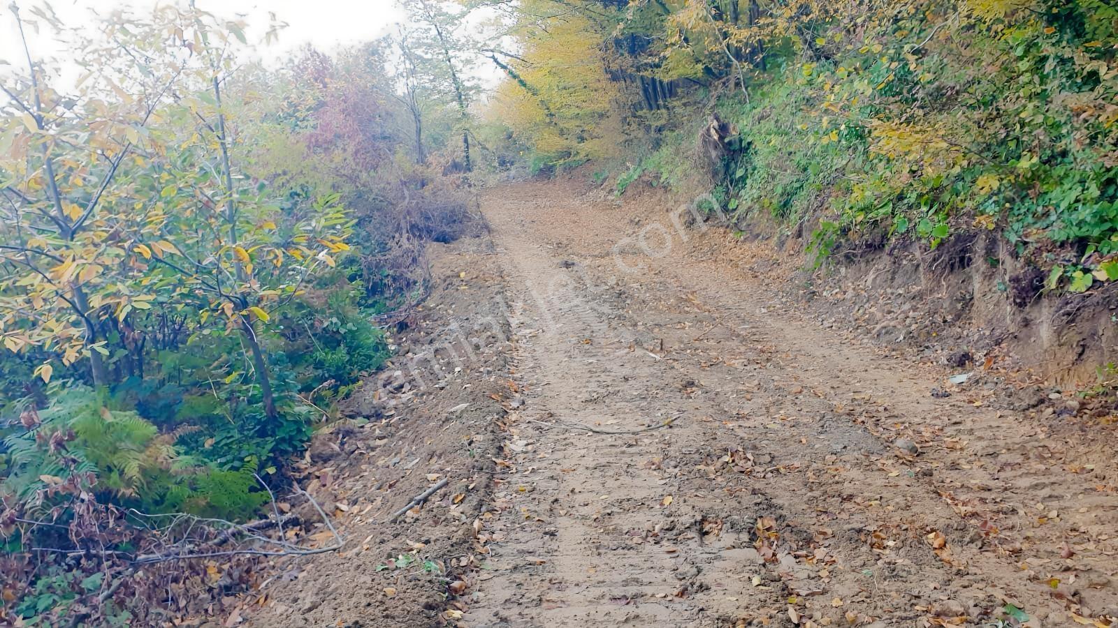 Karamürsel Ereğlide Deniz Manzaralı Satılık Tarla