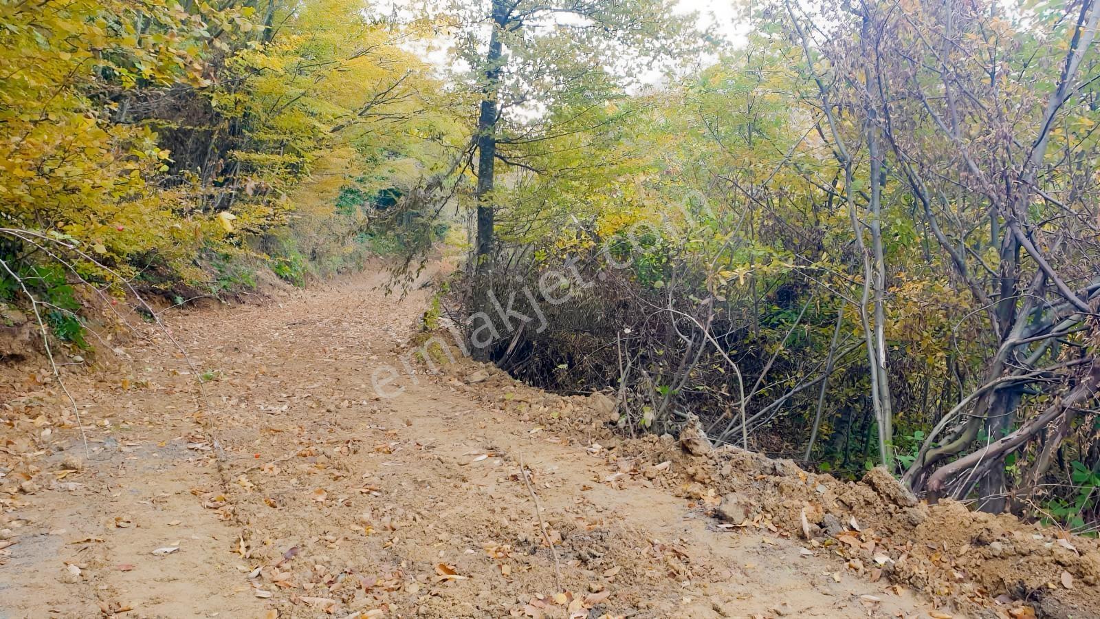 Karamürsel Ereğlide Deniz Manzaralı Satılık Tarla — fotoğraf 4