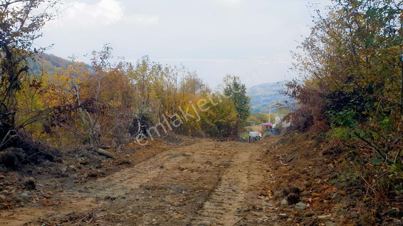 Karamürsel Ereğlide Deniz Manzaralı Satılık Tarla — fotoğraf 5