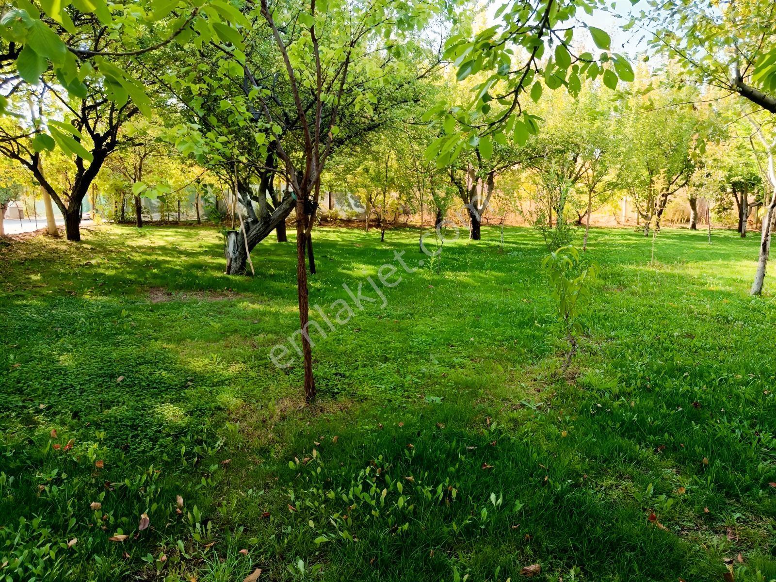Necatibey İlkokulu Karşısı 4 Kat İmarlı Satılık Arsa — fotoğraf 3