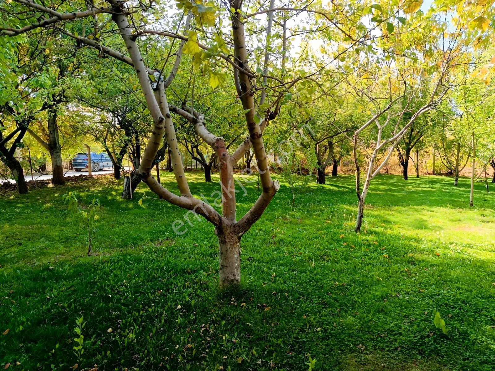 Necatibey İlkokulu Karşısı 4 Kat İmarlı Satılık Arsa — fotoğraf 4
