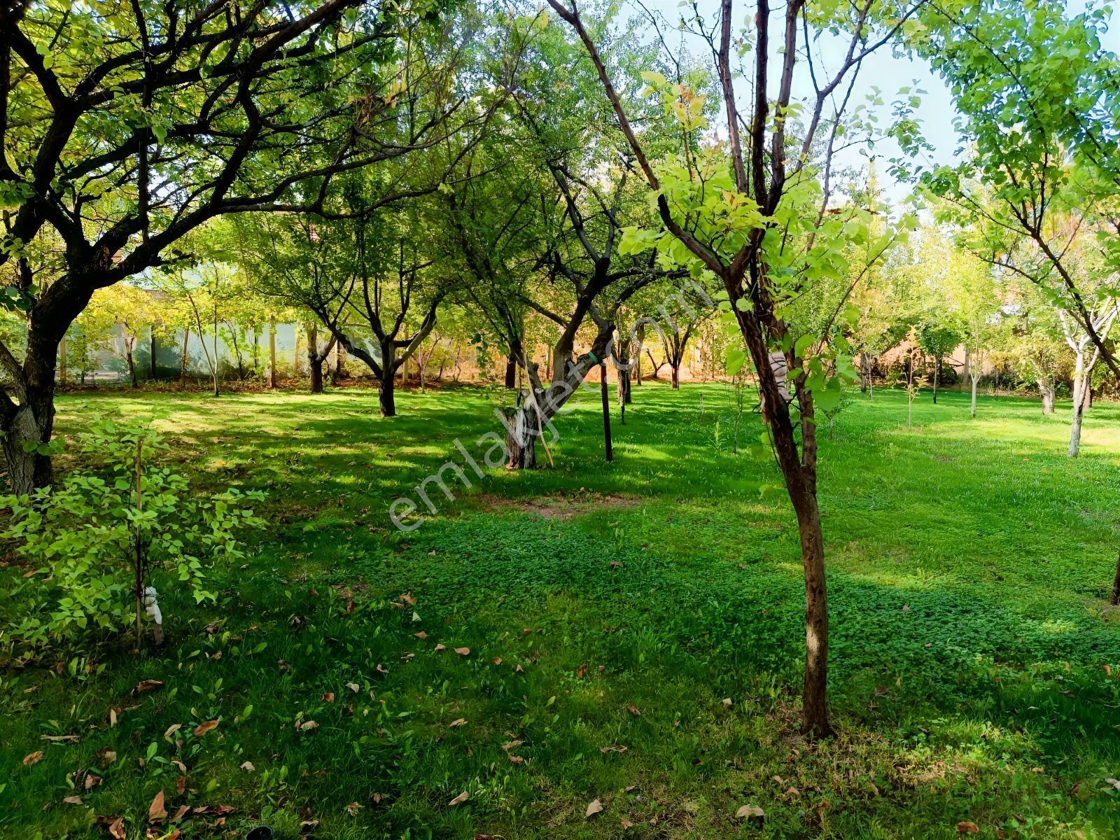 Necatibey İlkokulu Karşısı 4 Kat İmarlı Satılık Arsa — fotoğraf 6