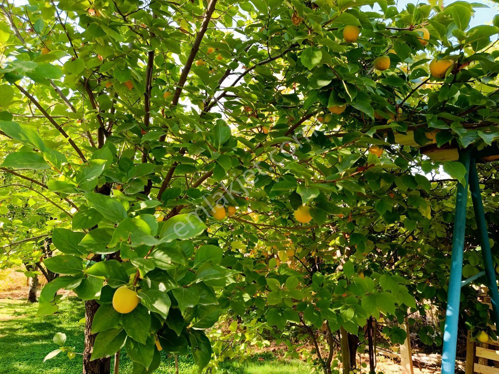Necatibey İlkokulu Karşısı 4 Kat İmarlı Satılık Arsa — fotoğraf 10