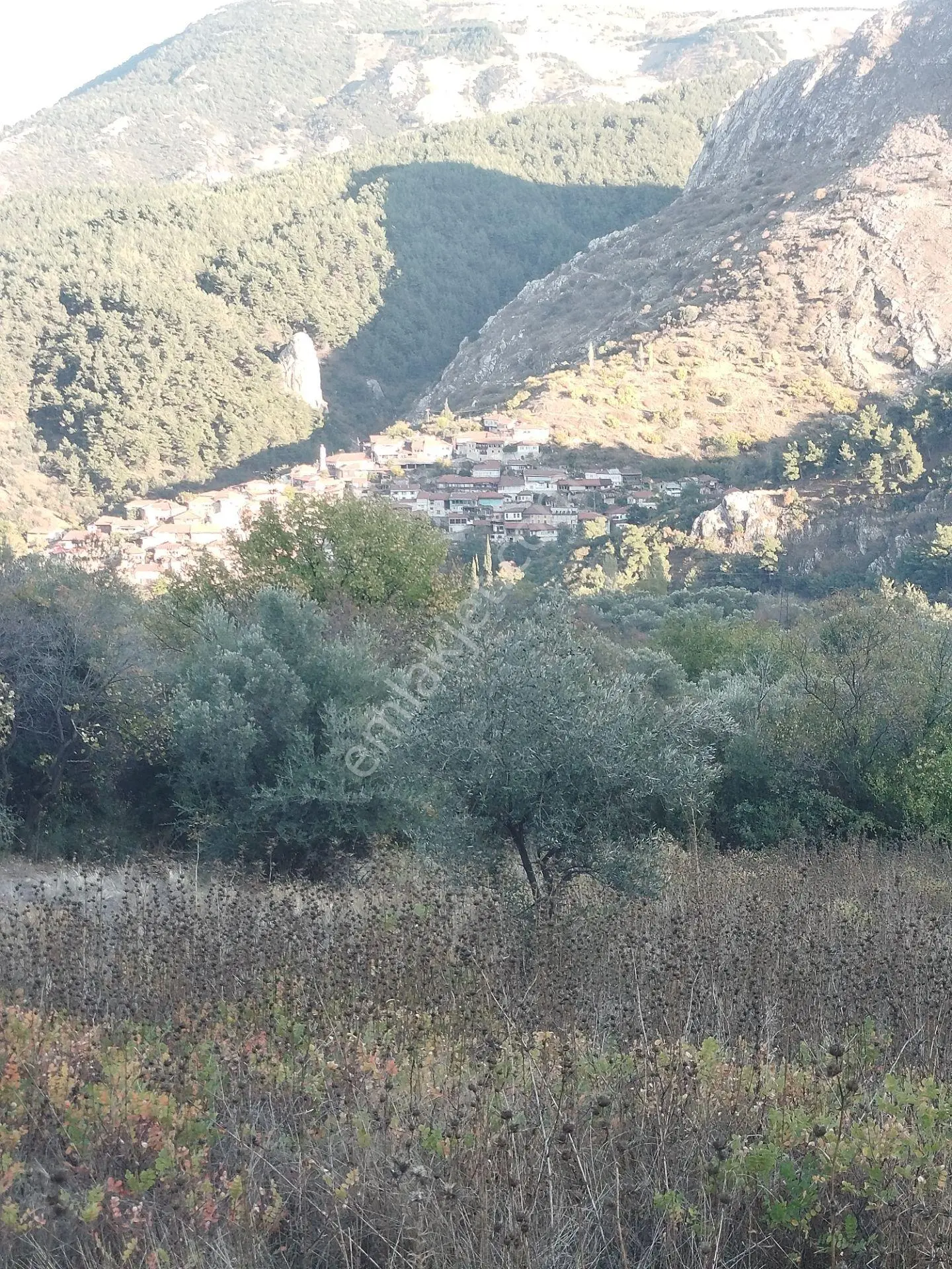 Bir Görün..!! — fotoğraf 9